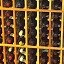 Wine Cellars in Pacific Palisades Los Angeles - The Entry Way Two