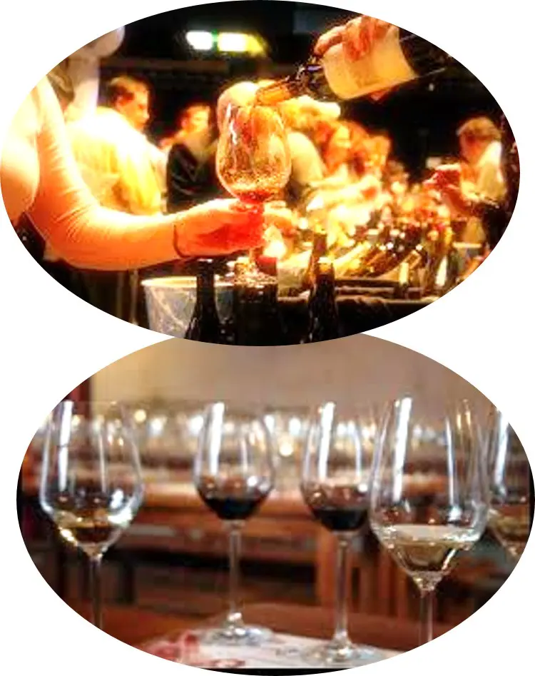 Click here to learn what wine cellar cooling unit brands are ideal for your wines! Wine Tasting Parties and Wine Storage Temperature