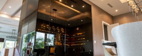 Transitional Home Wine Cellar Glass Walls Door