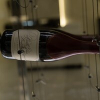 What bottles would you want to keep in your modern glass wine cellar?