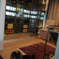 A frameless glass wine cellar door separates the entire wooden wine racking from the outside area. The door was built with pivot hinges and U-channels to prevent cold air loss and help stabilize the temperature inside the cellar.