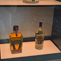 These orange shelves are actually acrylic light boards, similar to what we installed on the walls of this modern wine room. Modern Wine Room Racking Shelves